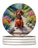 Dachshund Spring Path Large Sandstone Coasters Pack of 4 Absorbent Round Coasters Decor Gifts for Men or Women, 4 in, Multicolor