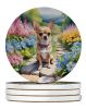 Chihuahua Spring Path Large Sandstone Coasters Pack of 4 Absorbent Round Coasters Decor Gifts for Men or Women, 4 in, Multicolor