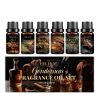 EELHOE Six-Bottle Home Fragrance Oil Set, 6 x 10 ml