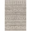 Chevron Coastal Boho Style Indoor Outdoor Area Rug
