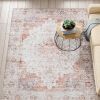 Traditional Persian Style Washable Boho Light Grey Red Area Rug