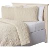 King size Coastal Beach Seashells Starfish Sea Horse  3-Piece Quilt Set