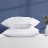 Set of 2 Machine Washable Down Feather Blend Pillow